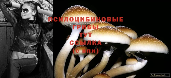 героин Алексин