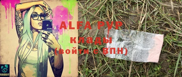 молекула духа Алексеевка