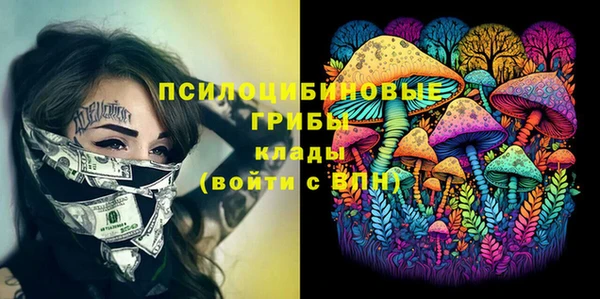 молекула духа Алзамай