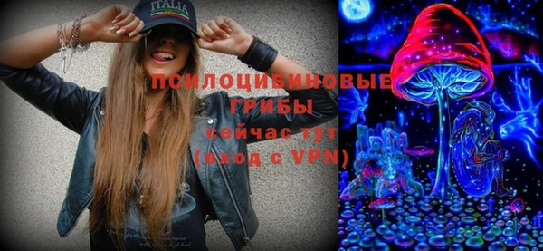 молекула духа Алексеевка