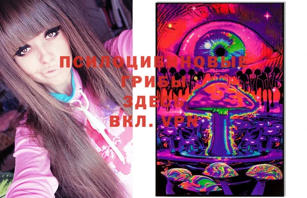 молекула духа Алзамай