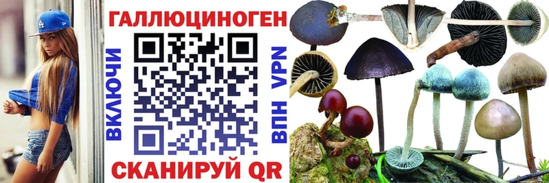 Псилоцибиновые грибы Psilocybe hydra маркетплейс Чишмы